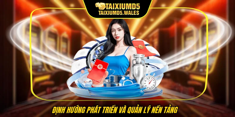 Định hướng phát triển và quản lý nền tảng