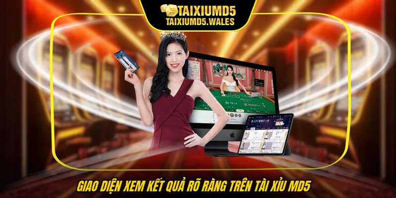 Giao diện xem kết quả rõ ràng trên Tài Xỉu MD5