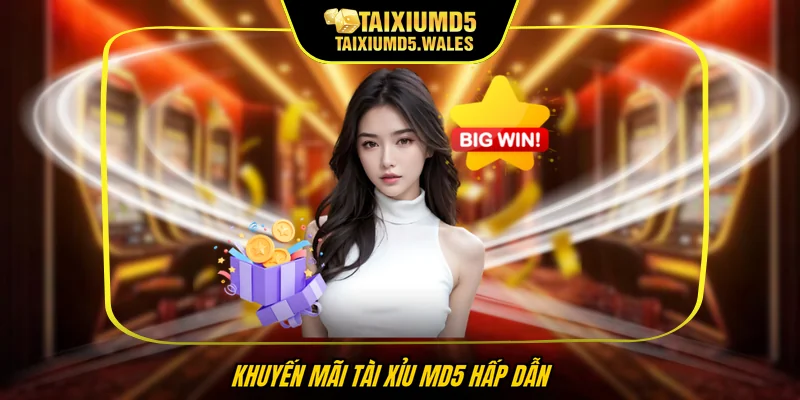 Khuyến mãi Tài xỉu MD5 hấp dẫn