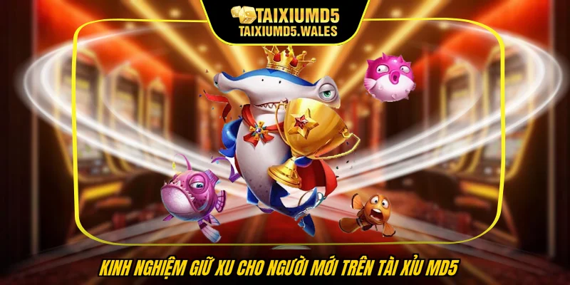 Kinh nghiệm giữ xu cho người mới trên Tài Xỉu MD5