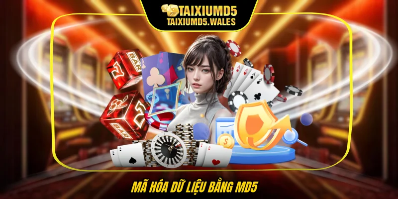 Mã hóa dữ liệu bằng MD5