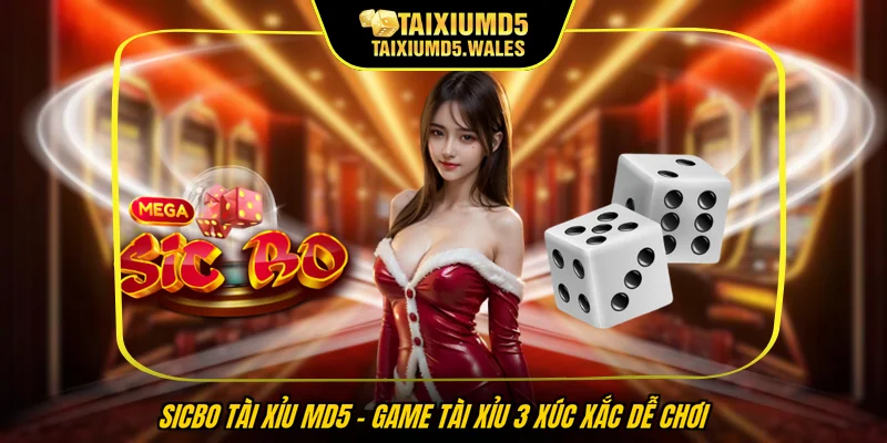 Sicbo tài xỉu MD5