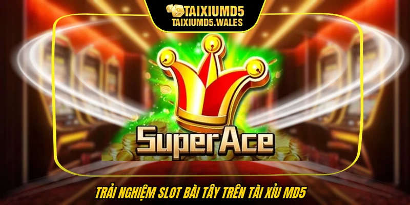 Trải nghiệm slot bài tây trên Tài Xỉu MD5