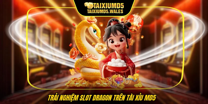 Trải nghiệm slot Dragon trên Tài Xỉu MD5