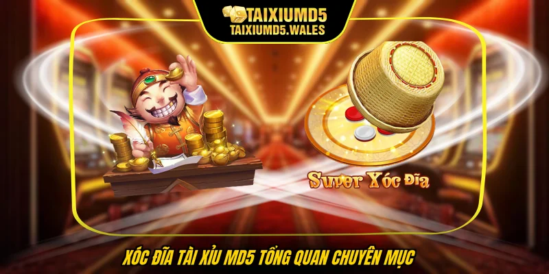 Xóc đĩa Tài xỉu MD5 tổng quan chuyên mục